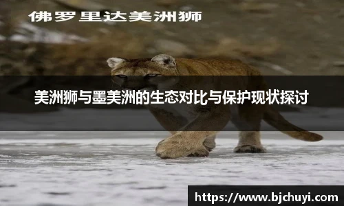 美洲狮与墨美洲的生态对比与保护现状探讨